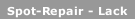 Spot-Repair - Lack